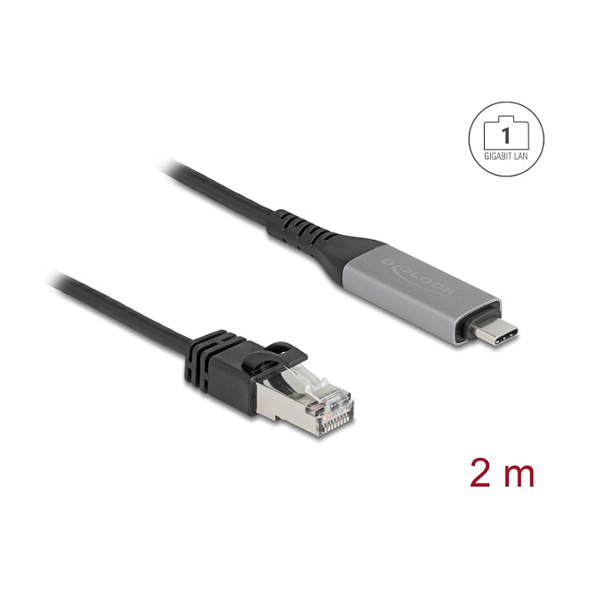 DeLOCK Cable USB LAN USB Tipo C™ a RJ45 Gigabit Ethernet 2 m