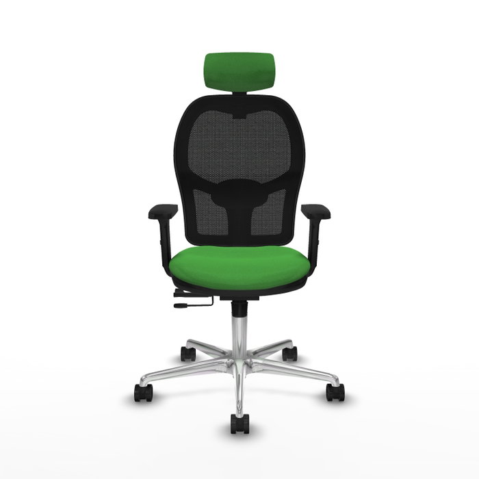 PIQUERAS Y CRESPO Silla de oficina Jorquera con Mecanismo Sincro/Traslack Verde y Negro PIQUERAS Y CRESPO Silla de oficina Jorquera con Mecanismo Sincro/Traslack Verde y Negro