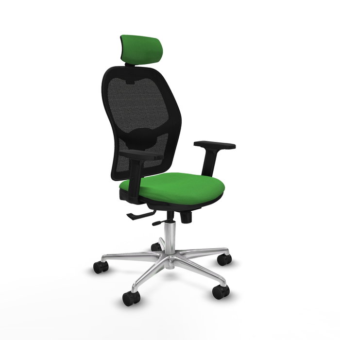 PIQUERAS Y CRESPO Silla de oficina Jorquera con Mecanismo Sincro/Traslack Verde y Negro PIQUERAS Y CRESPO Silla de oficina Jorquera con Mecanismo Sincro/Traslack Verde y Negro