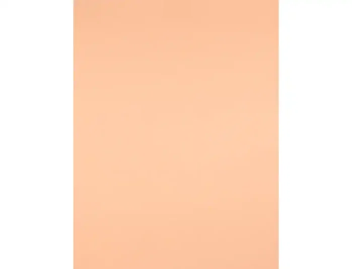 Liderpapel Cartulina Sepia 50x65 cm 240g/m2 (25 hojas)