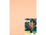 Liderpapel Cartulina Sepia 50x65 cm 240g/m2 (25 hojas)