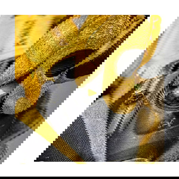 DEWALT Kombihammer SDS-plus 26mm 800W D25134K-QS