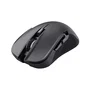 Trust Gaming GXT 923 YBAR Ratón Gaming Inalámbrico para Juegos, Mano Derecha, Recargable, 7200 DPI Ajustable, 6 Botones, Iluminación RGB, RF 2.4 GHz, 50 Horas Batería, Negro
