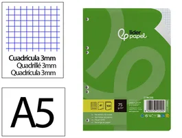 Liderpapel Recambio A5 100 Hojas Cuadro 3mm con Margen 6 Taladros