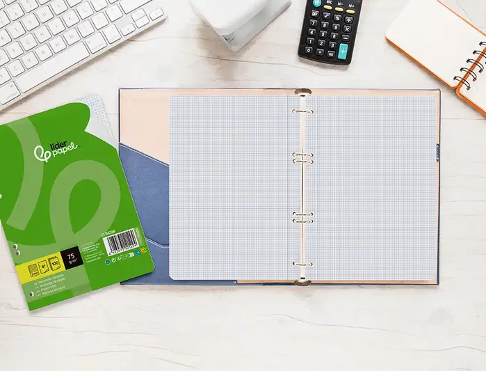 Liderpapel Recambio A5 100 Hojas Cuadro 3mm con Margen 6 Taladros Liderpapel Recambio A5 100 Hojas Cuadro 3mm con Margen 6 Taladros