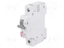ETI POLAM ETIMAT 6 Interruptor magnetotérmico 1P 25A 6kA