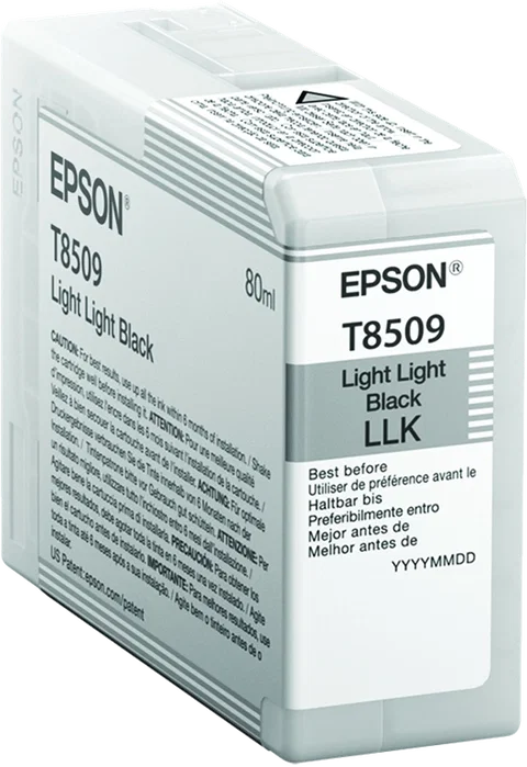 Epson Cartucho Negro Light Light Black C13T850900 80ml