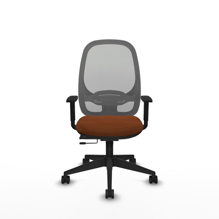 PIQUERAS Y CRESPO Silla de oficina Cilanco con mecanismo Sincro/Traslack Marrón y Gris PIQUERAS Y CRESPO Silla de oficina Cilanco con mecanismo Sincro/Traslack Marrón y Gris