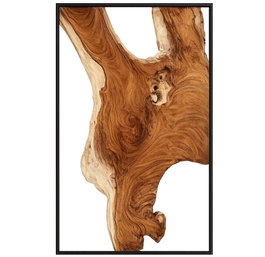 DKD Home Decor Escultura de Pared Raíz de Teca y Hierro