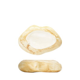 Summa Premium Plato Llano Piedras Ega Marrón 15x10cm