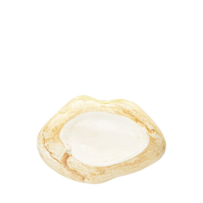 Summa Premium Plato Llano Piedras Ega Marrón 15x10cm