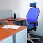 PIQUERAS Y CRESPO Silla de oficina Jorquera con mecanismo Sincro/Traslack, Verde oliva y Gris