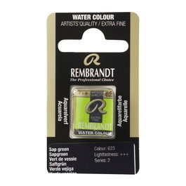 Rembrandt Acuarela Pastilla Verde Vejiga 623