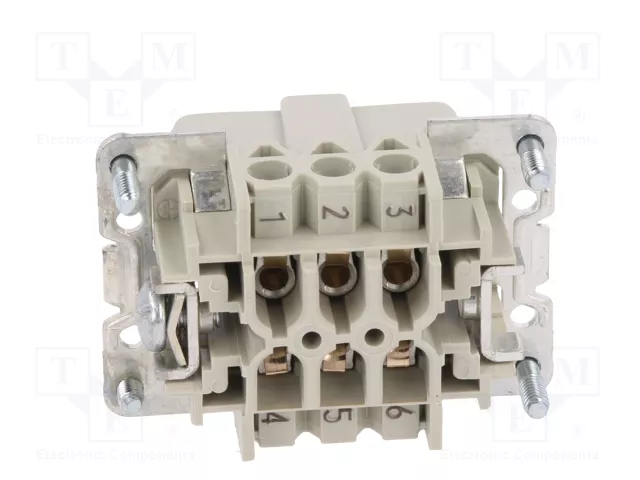 WIELAND Conector HDC macho tamaño 6 para panel