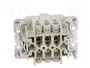 WIELAND Conector HDC macho tamaño 6 para panel
