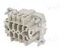 WIELAND Conector HDC macho tamaño 6 para panel
