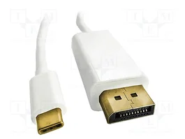 QOLTEC Adaptador USB C a DisplayPort 1.2 de 2m