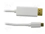 QOLTEC Adaptador USB C a DisplayPort 1.2 de 2m