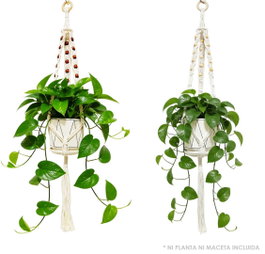 DKD Home Decor Macetero Algodón y Madera Trenzado Crudo