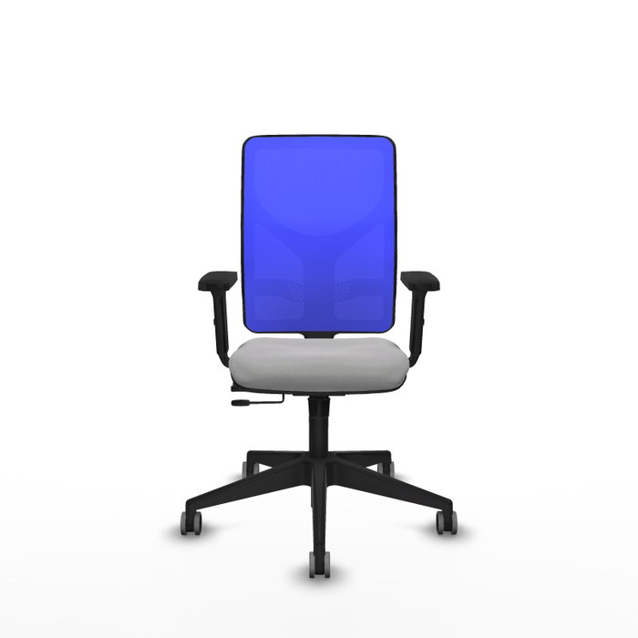 PIQUERAS Y CRESPO Silla de oficina Motilla con mecanismo Sincro/Traslack, Gris claro y Azul PIQUERAS Y CRESPO Silla de oficina Motilla con mecanismo Sincro/Traslack, Gris claro y Azul