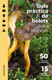 LAROUSSE, Guía práctica de boletus