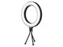 Arte Regal Anillo Luz Led con Mando 15.5 x 28 x 5 cm (Set de 12)