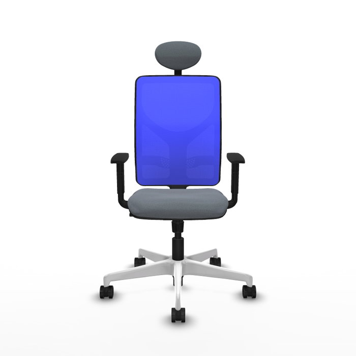 PIQUERAS Y CRESPO Silla de oficina Motilla con mecanismo Sincro, Gris y Azul PIQUERAS Y CRESPO Silla de oficina Motilla con mecanismo Sincro, Gris y Azul