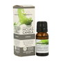 Terpenic Aceite esencial canela hojas BIO 10 ml