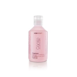 Eva Oxygenum Shampoo #06 Tratamiento Anticaspa Seca Purifica y Fortalece 300ml