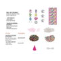 Cerdá Set de Belleza DIY Pulsera Care Bears Multicolor