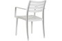 DKD Home Decor Silla PP Gris Aplicable