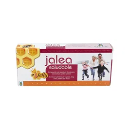 TEGOR Jalea Saludable 20Viales - Complemento alimenticio para resistencia y vitalidad diaria