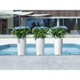 Lechuza LEC4008789139504 Jardinera Cilindro Color 32 Blanco 13 L
