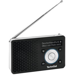 TechniSat DIGITRADIO 1 A Negro/Plata