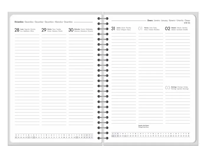 Liderpapel Agenda de oficina 2027 espiral bilingüe surtido de 6 unidades Liderpapel Agenda de oficina 2027 espiral bilingüe surtido de 6 unidades