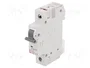 ETI POLAM Interruptor magnetotérmico ETIMAT 6 1P C6 6A 6kA