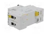 SCHNEIDER ELECTRIC iC60N 10A 2 Polos Curva B