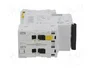 SCHNEIDER ELECTRIC iC60N 10A 2 Polos Curva B