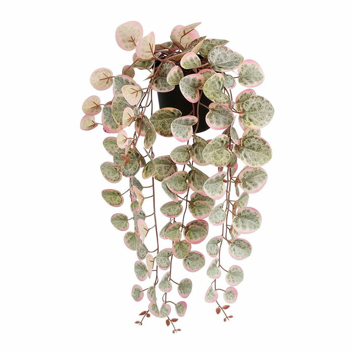 Mica Decorations Maceta colgante Ceropegia woodii collar de corazones rosa Mica Decorations Maceta colgante Ceropegia woodii collar de corazones rosa