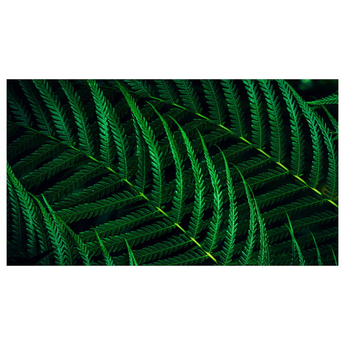 Philips 27B2G5200 Monitor 27" Full HD IPS 100Hz HDMI DP USB Antracita