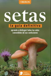 OBERON, Setas, guía definitiva - Aitor Calvo Pérez, Javier Calvo Pérez, Juan Andrés Román Echevarría y otros