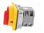 SPAMEL Interruptor de leva 25A 0-1 IP65