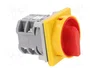SPAMEL Interruptor de leva 25A 0-1 IP65