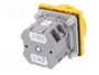 SPAMEL Interruptor de leva 25A 0-1 IP65