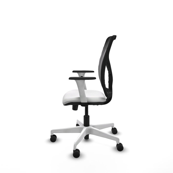 PIQUERAS Y CRESPO Silla de oficina Motilla con mecanismo Sincro/Traslack Blanco y Negro PIQUERAS Y CRESPO Silla de oficina Motilla con mecanismo Sincro/Traslack Blanco y Negro