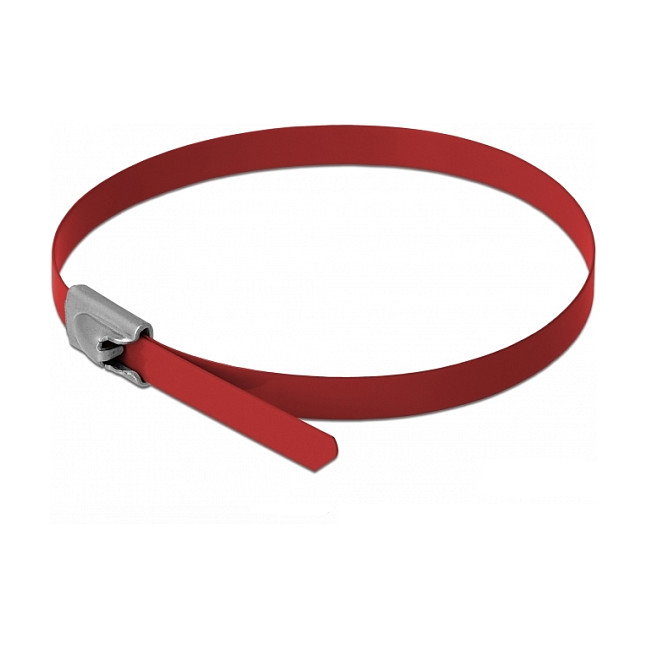 DeLOCK Sujetacables de acero inoxidable 400 x 4,6 mm Rojo (10 piezas) DeLOCK Sujetacables de acero inoxidable 400 x 4,6 mm Rojo (10 piezas)