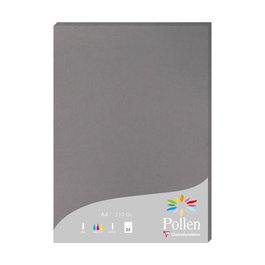 Papel Clairefontaine Pollen A4 210G 25H Gris Acero