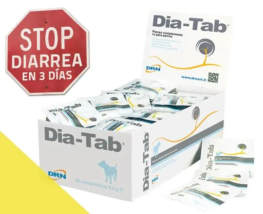 ICF-DRN DIA-TAB 60 Comprimidos - Suplemento para el Control de Diarrea Aguda en Perros, Protege la Mucosa Intestinal y Restaura el Balance Electrolítico ICF-DRN DIA-TAB 60 Comprimidos - Suplemento para el Control de Diarrea Aguda en Perros, Protege la Mucosa Intestinal y Restaura el Balance Electrolítico