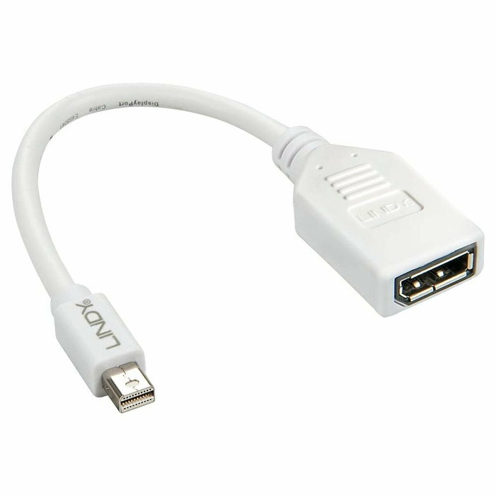 Lindy Adaptador Mini DisplayPort a DisplayPort Blanco 0,15 m Lindy Adaptador Mini DisplayPort a DisplayPort Blanco 0,15 m