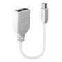 Lindy Adaptador Mini DisplayPort a DisplayPort Blanco 0,15 m